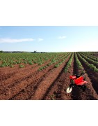 Maquinaria&Herramientas Agricolas